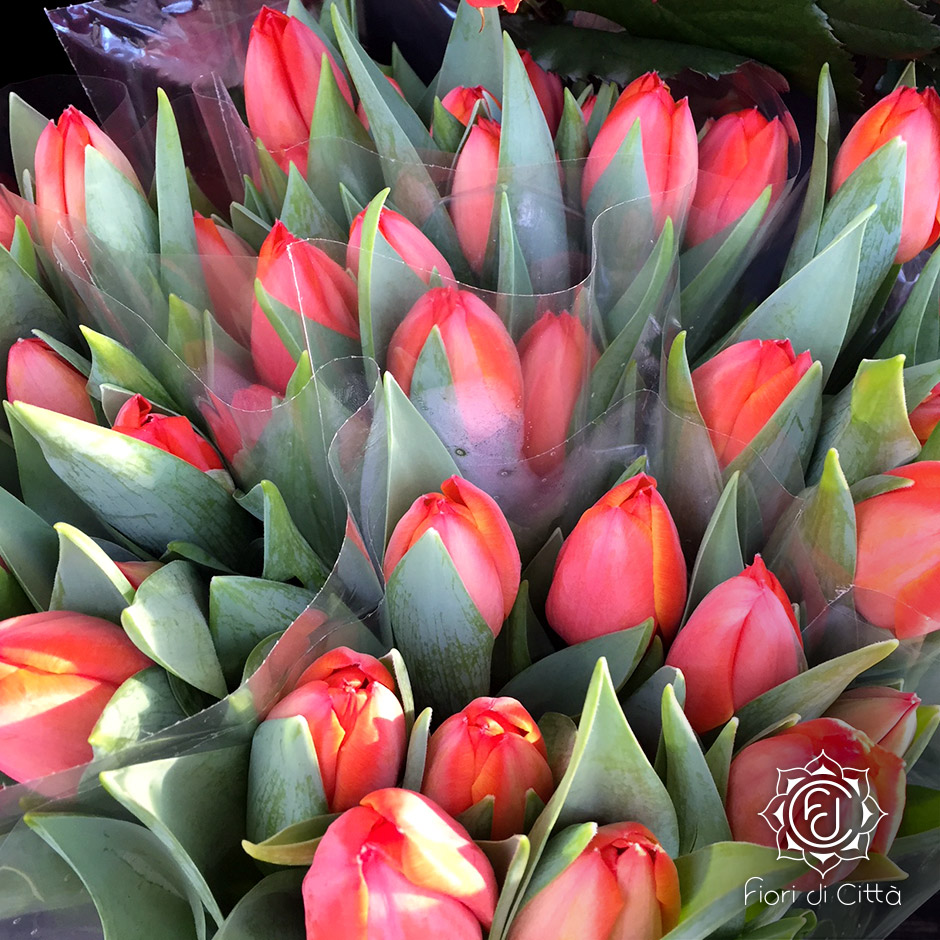 I fiori più belli per San Valentino